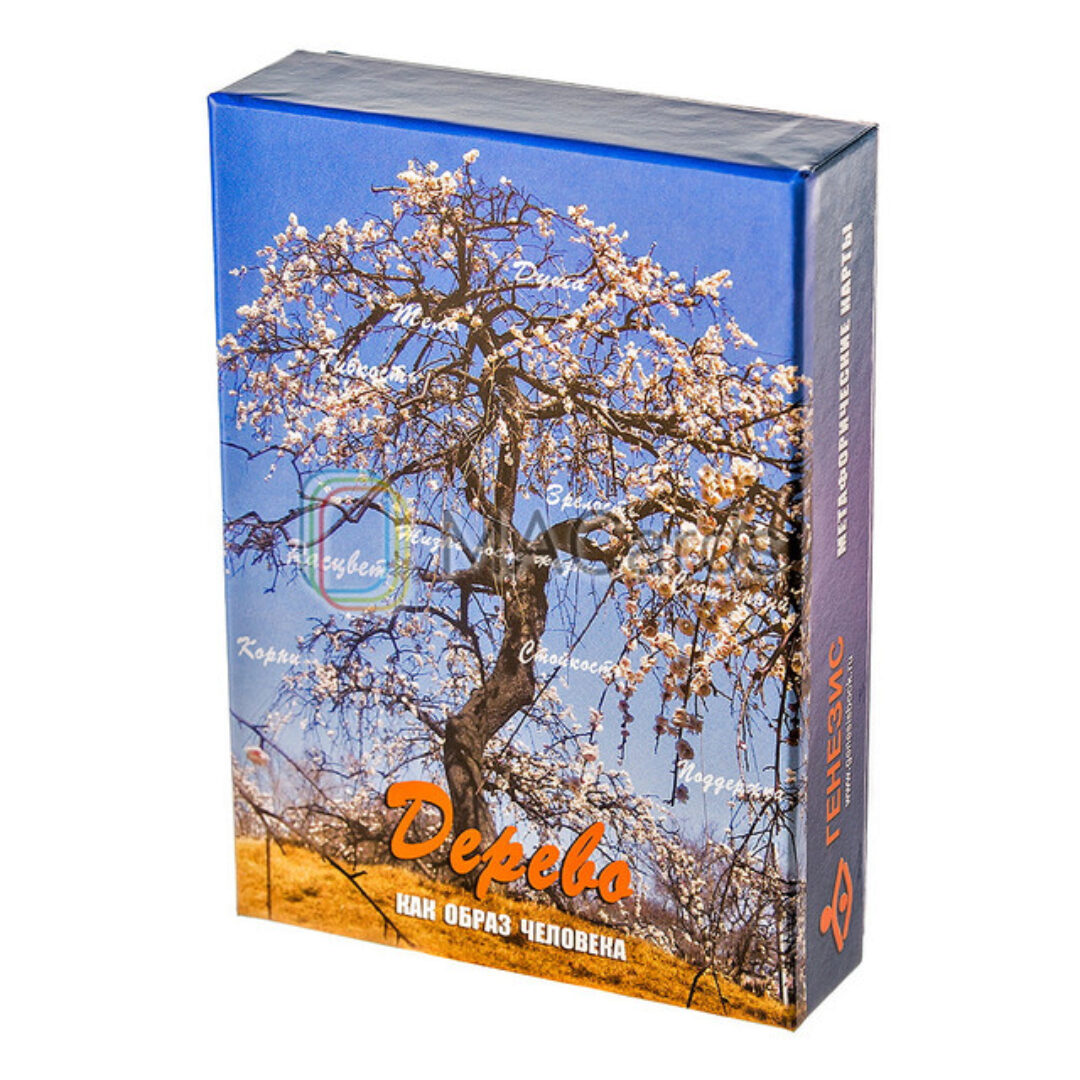 Метафорические ассоциативные карты Дерево как образ человека (Галина Кац)