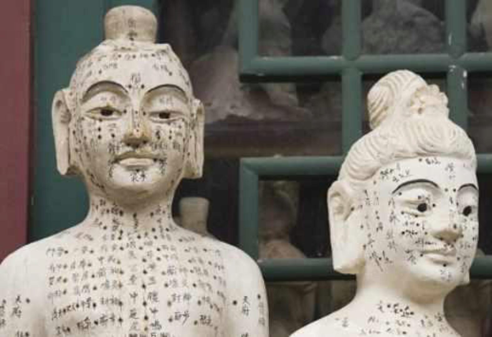 [Синофарм] Основные группы акупуктурных точек: точки Ци (Ван Вэй)