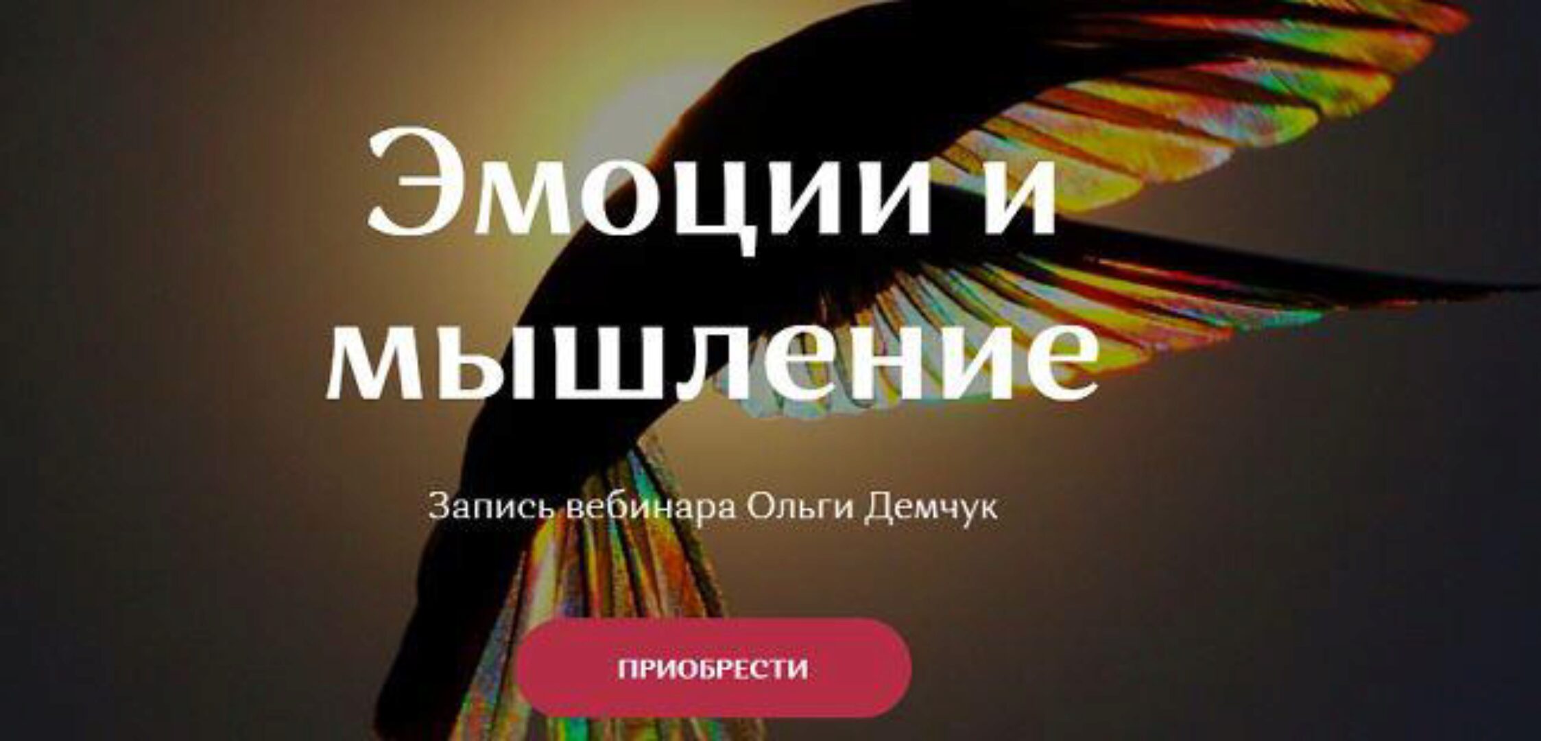 Эмоции и мышление (Ольга Демчук)