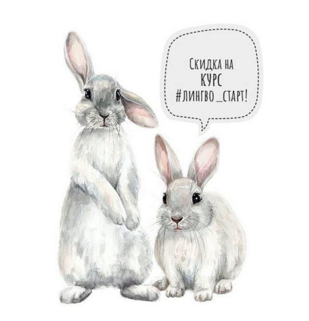 [Honey bunny club] Курс Лингво Старт. Французский и Испанский (Анна Русс)