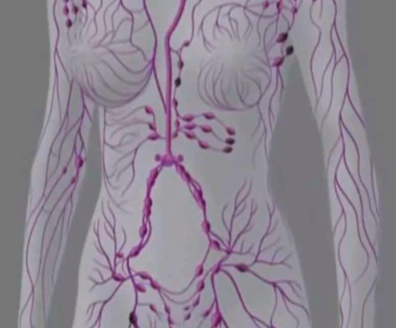 Здоровый кишечник (Энже Кадырова)