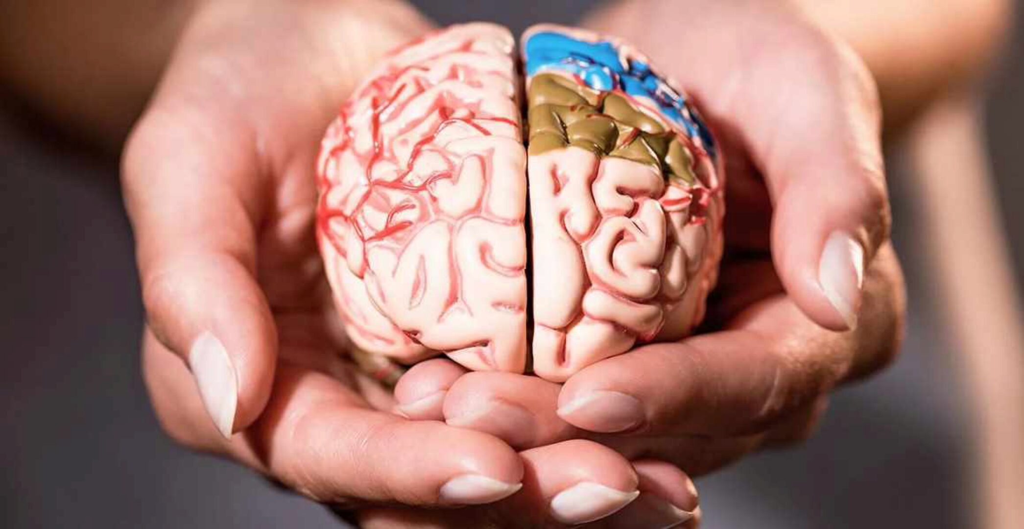 Мозг, привычки, режим и продуктивность (Вера Вороненко)