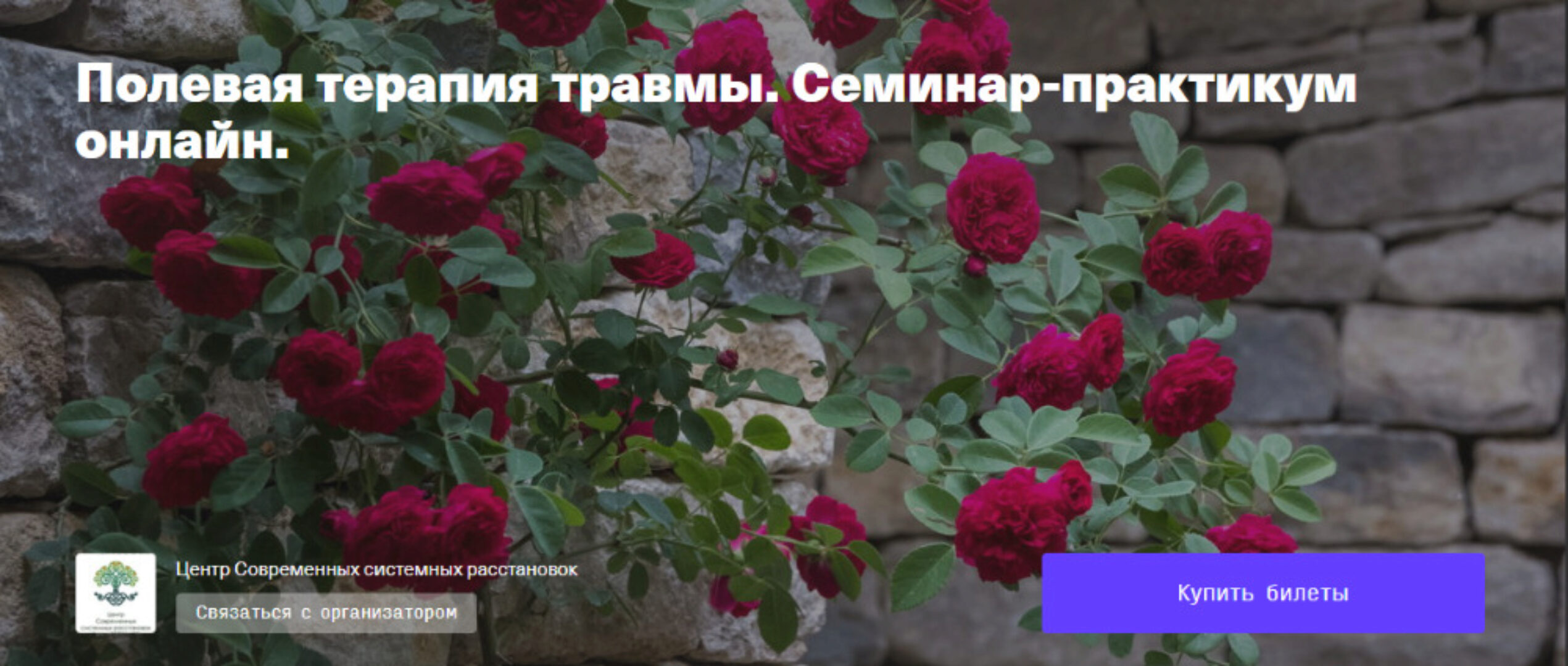 [constellations] Полевая терапия травмы (Елена Веселаго)