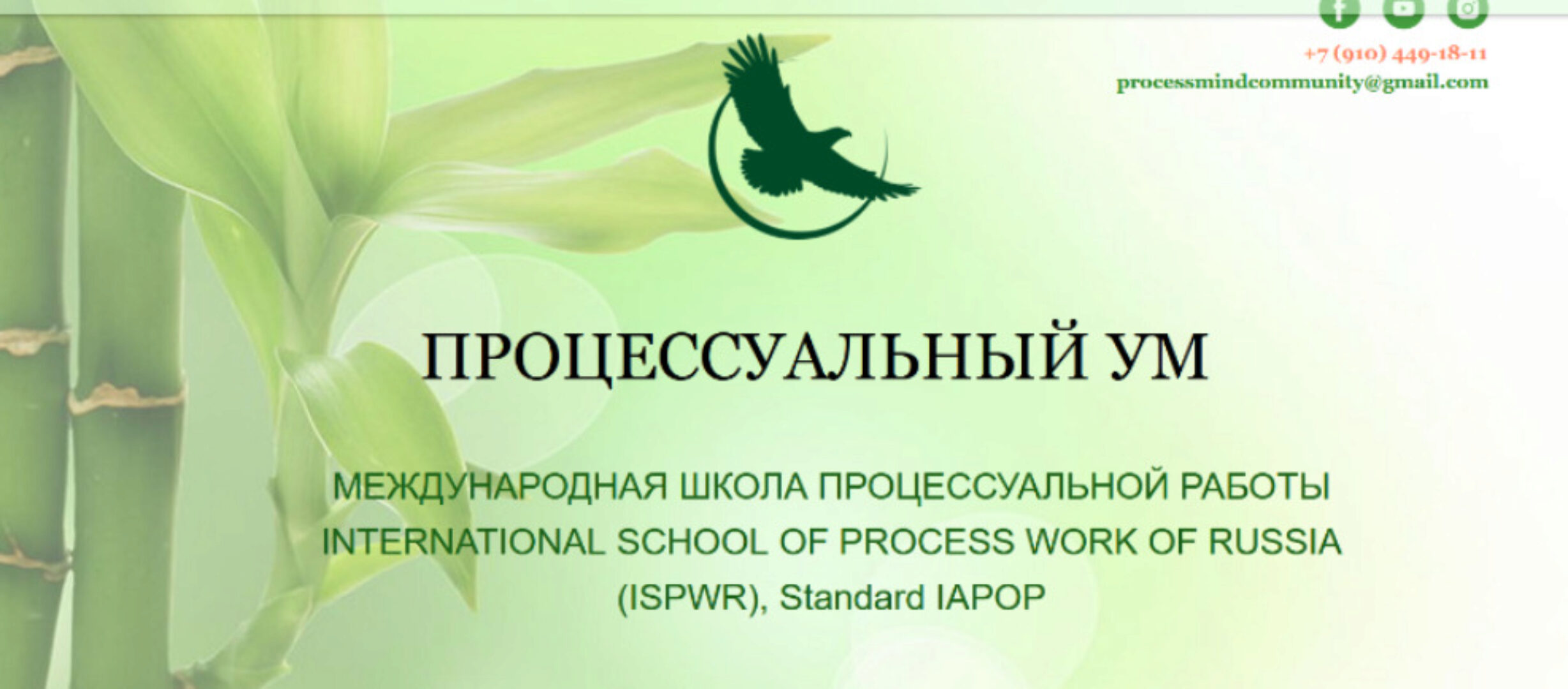 Углубленная работа с Сущностным уровнем в процесс-ориентированном подходе (Ирина Зингерман)
