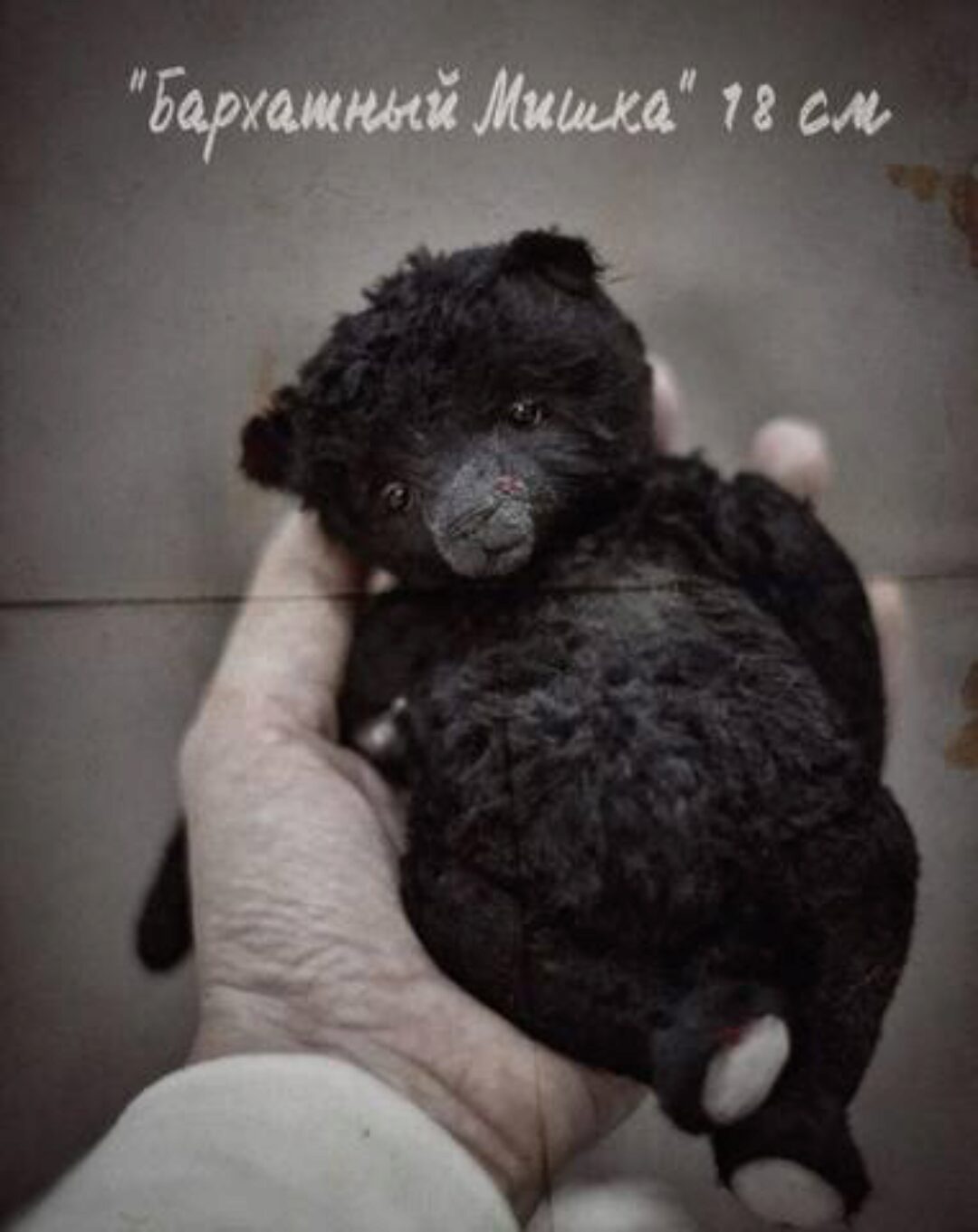 Бархатный мишка 18 см (Кристина Шаблий)