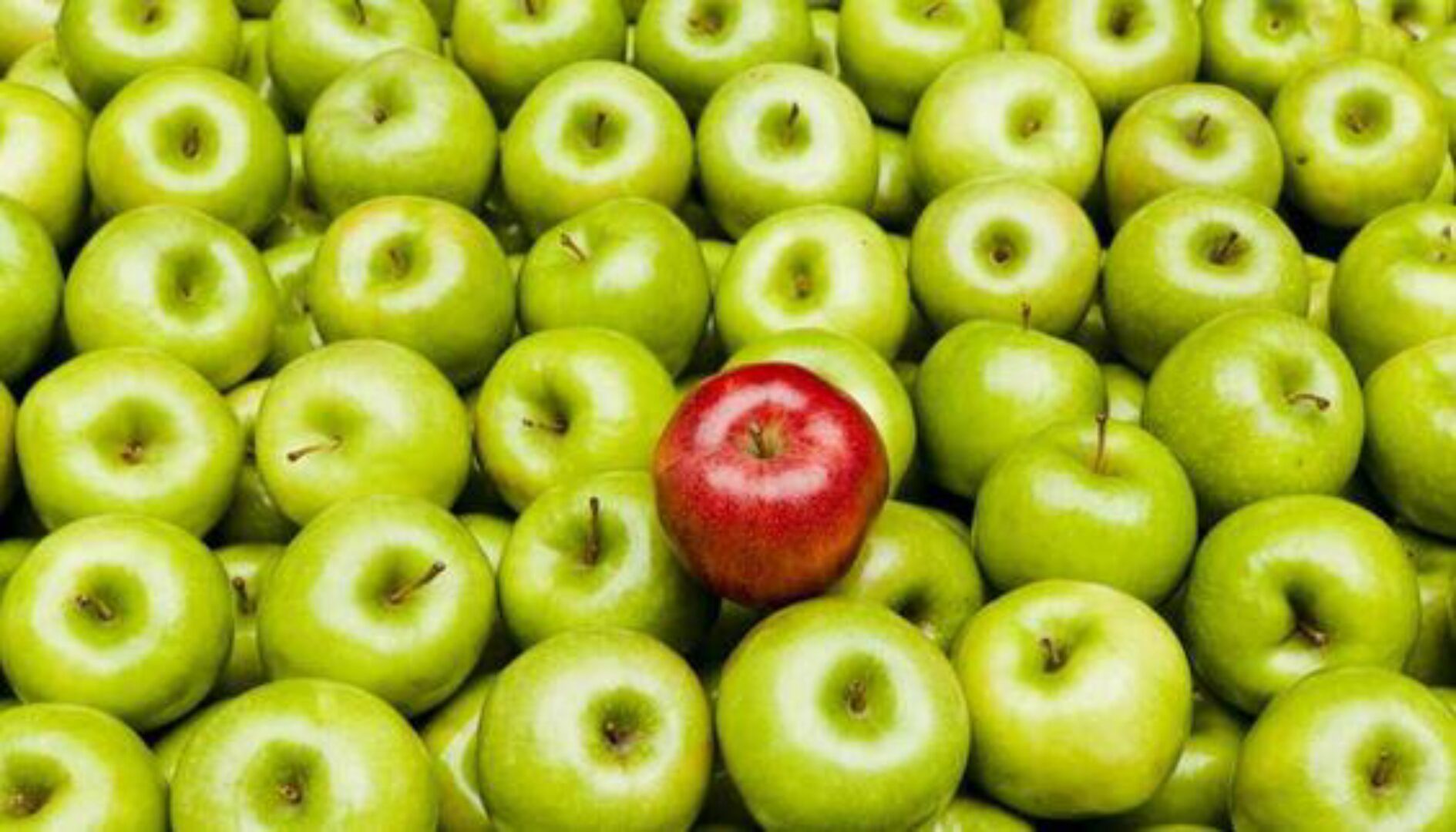 [Psymama] В чем моя уникальность (Марина Ланцбург)