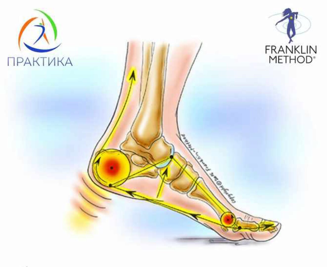[Центр Практика] Стопы по методу Франклина. Июль 2024 (Людмила Бабанская)