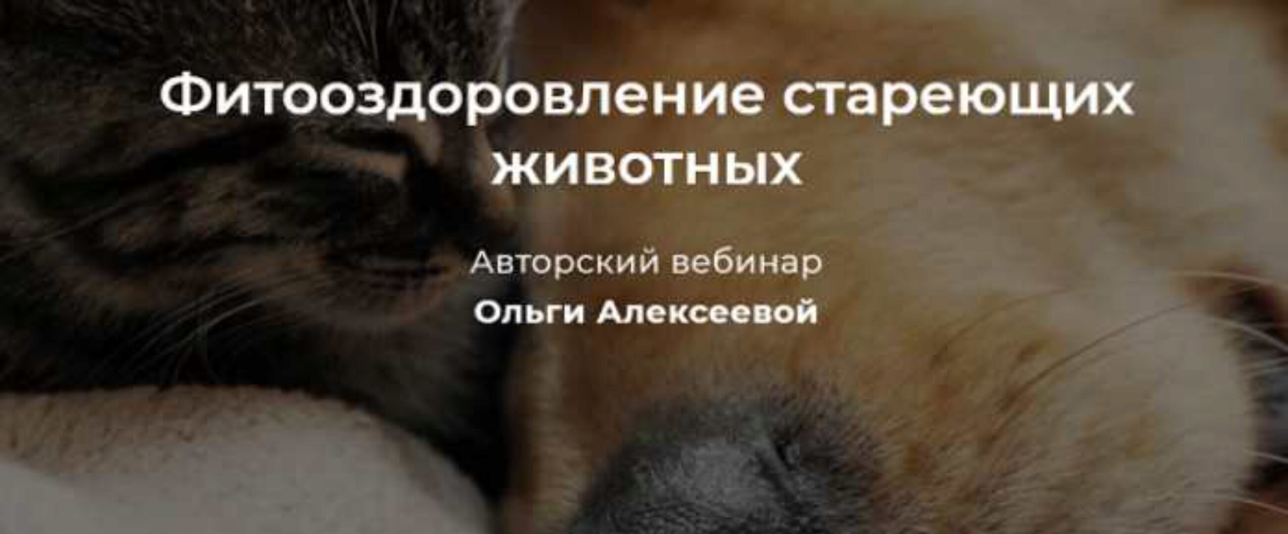 Фитооздоровление стареющих животных (Ольга Алексеева)