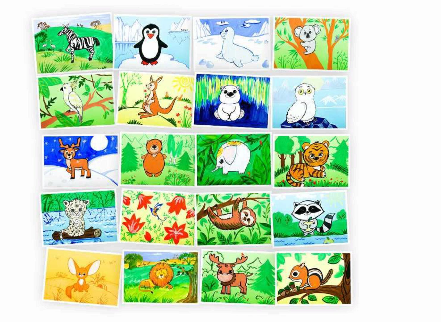 Рисование для детей. Животные разных континентов [Skillberry]