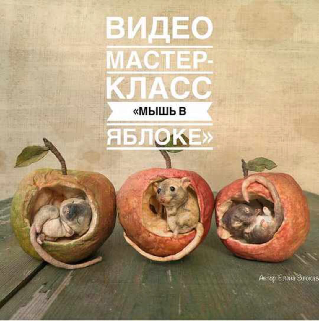 Мышь в яблоке (Елена Злоказова)