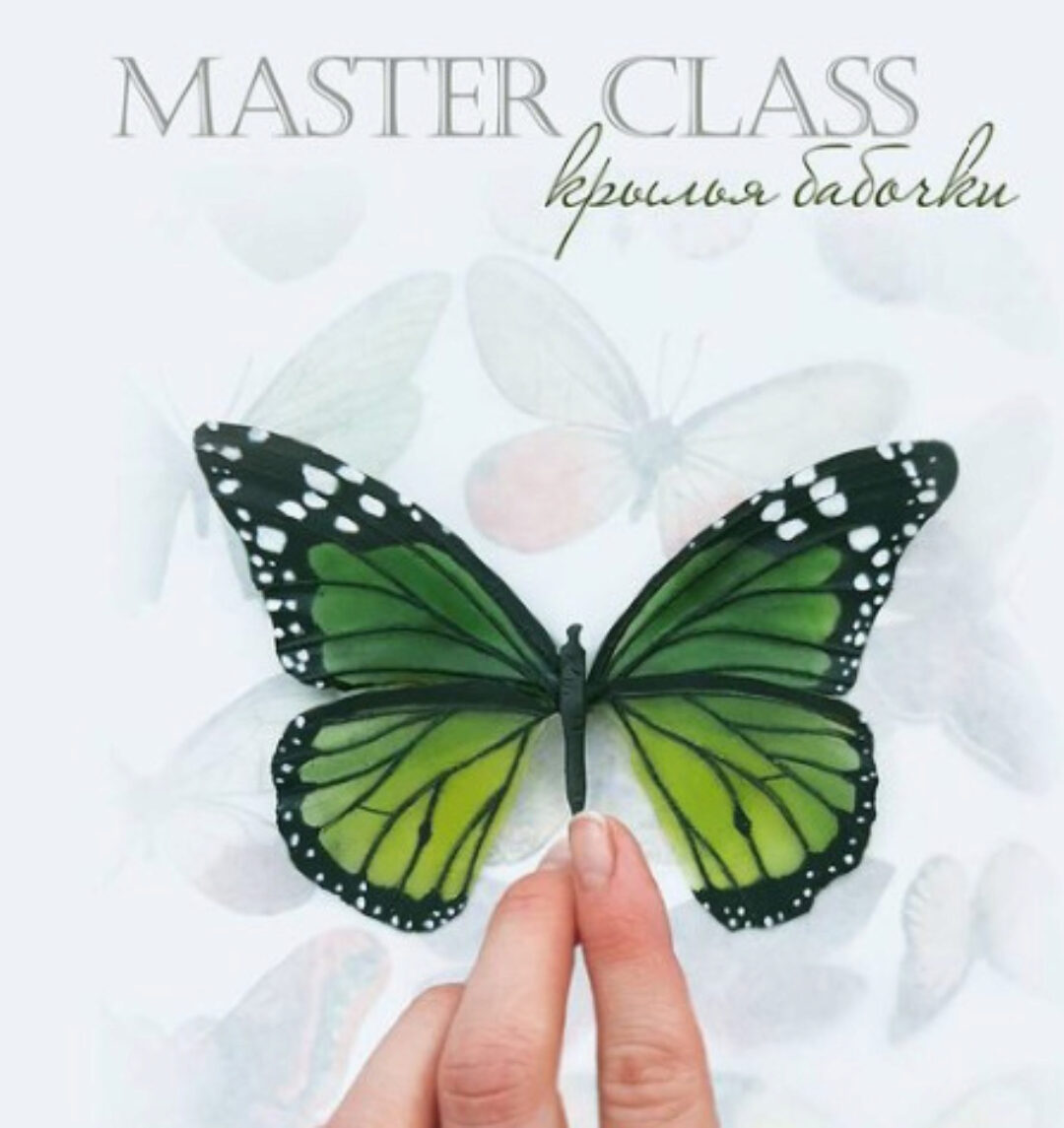 Крылья бабочки (Лиана Каримова)