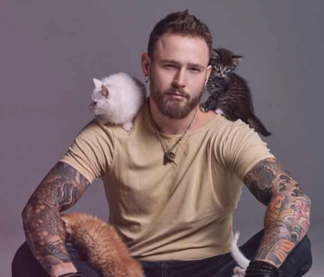 Котики Цаплина. Крутые посты за 2 недели, 2019 (Игорь Цаплин)