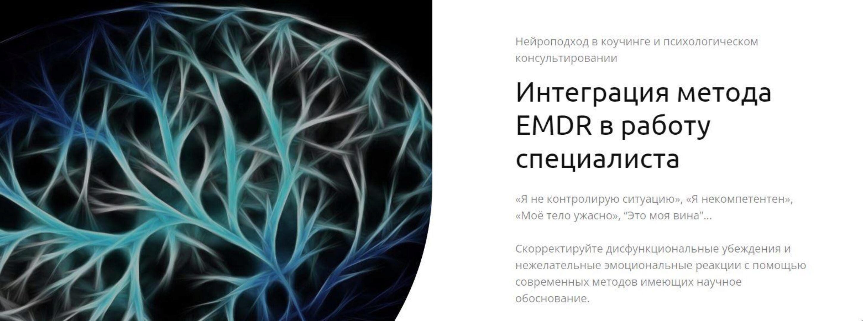 Интеграция метода EMDR в работу специалиста (Андрей Шаповалов)