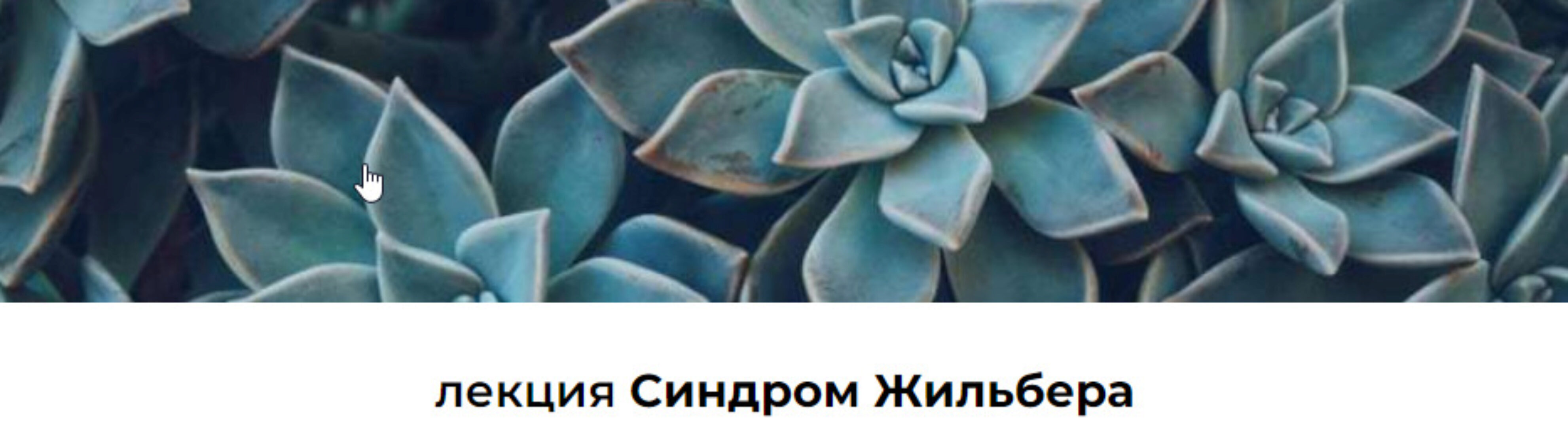 Лекция «Синдром Жильбера» (Венера Хабирова)