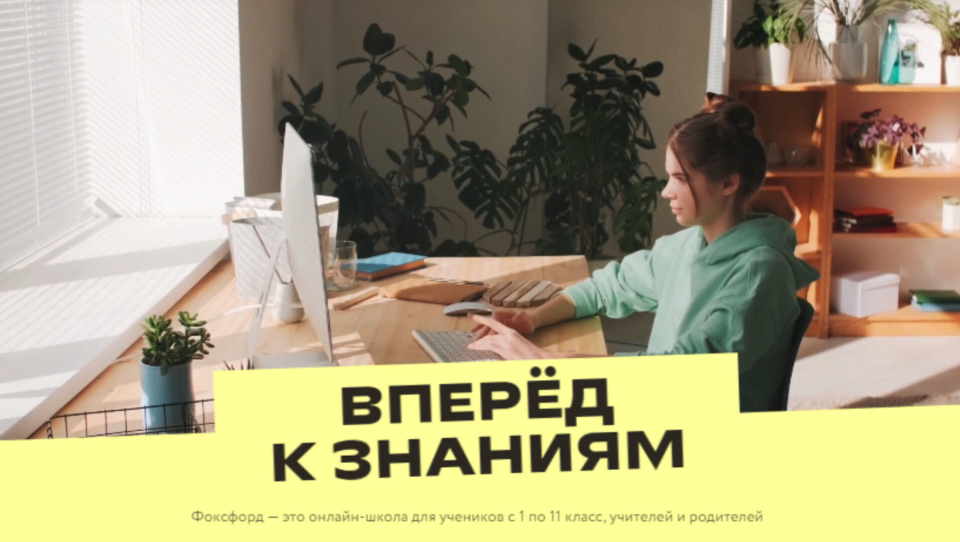 [Фоксфорд] Нейропсихологические основы эффективного обучения: теория и практика (Ольга Красюк)