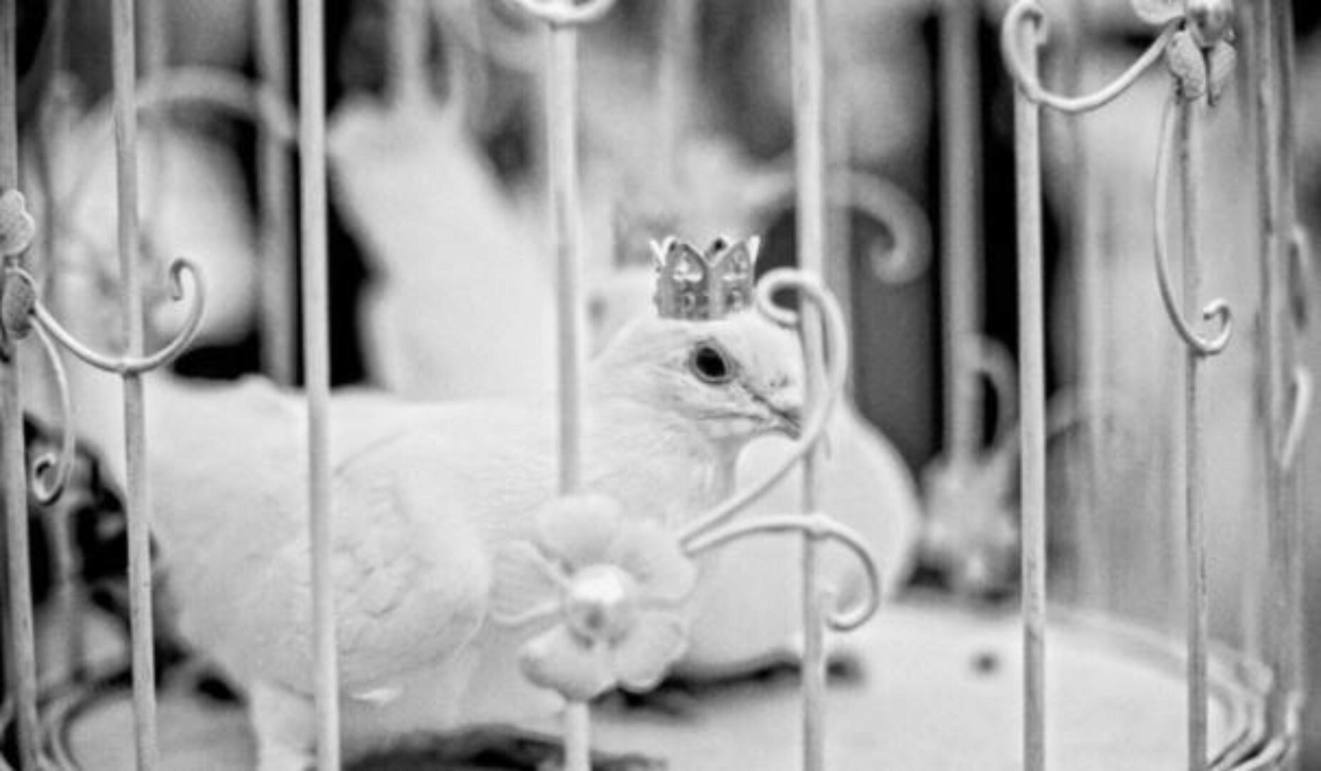 Построение Бизнеса Фотографа (Дмитрий Федотов)