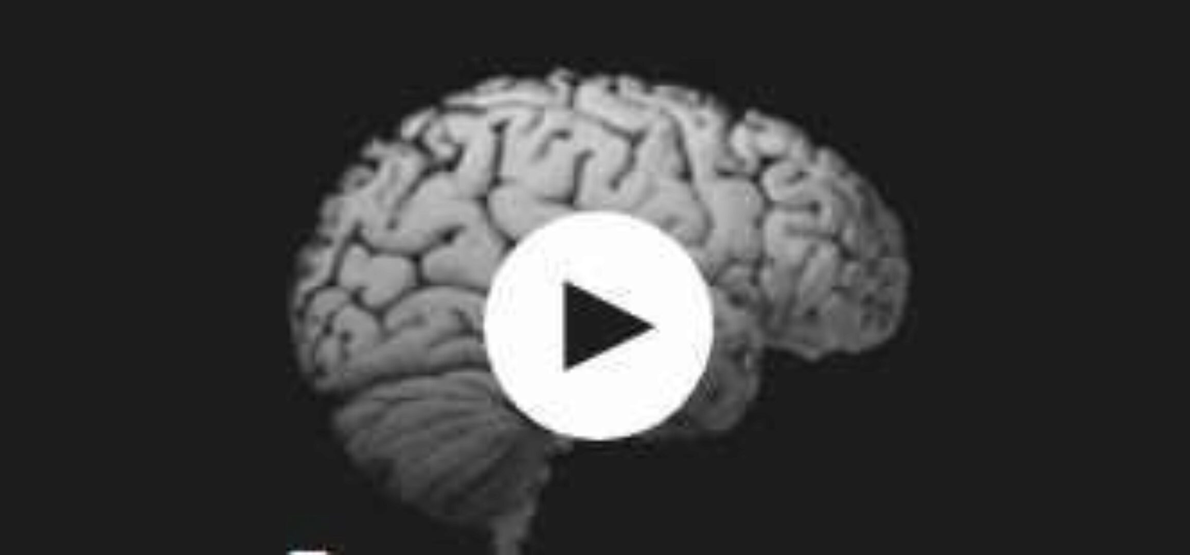 [Udemy] Хакерская дислексия, СДВГ, нейродивергентные проблемы (Пол Тилли)