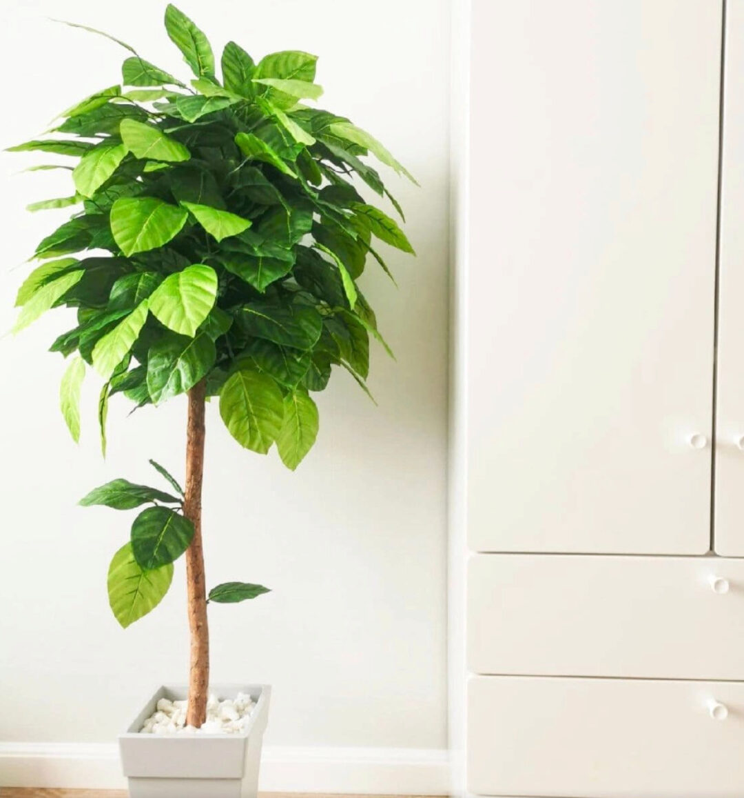 Искусственное дерево своими руками (Кристина Хафизова)