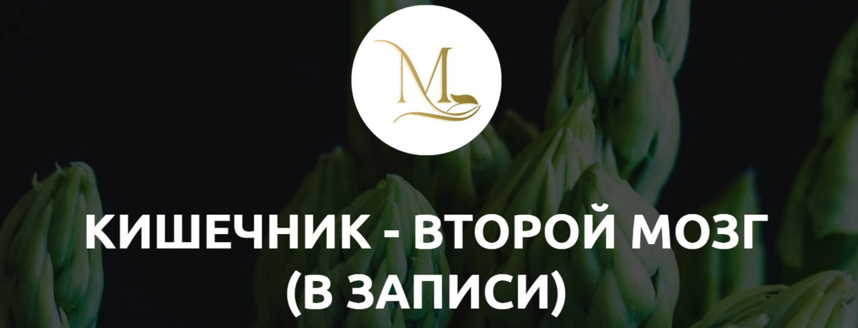 [Med-plus] Кишечник-второй мозг (Татьяна Шершнева)