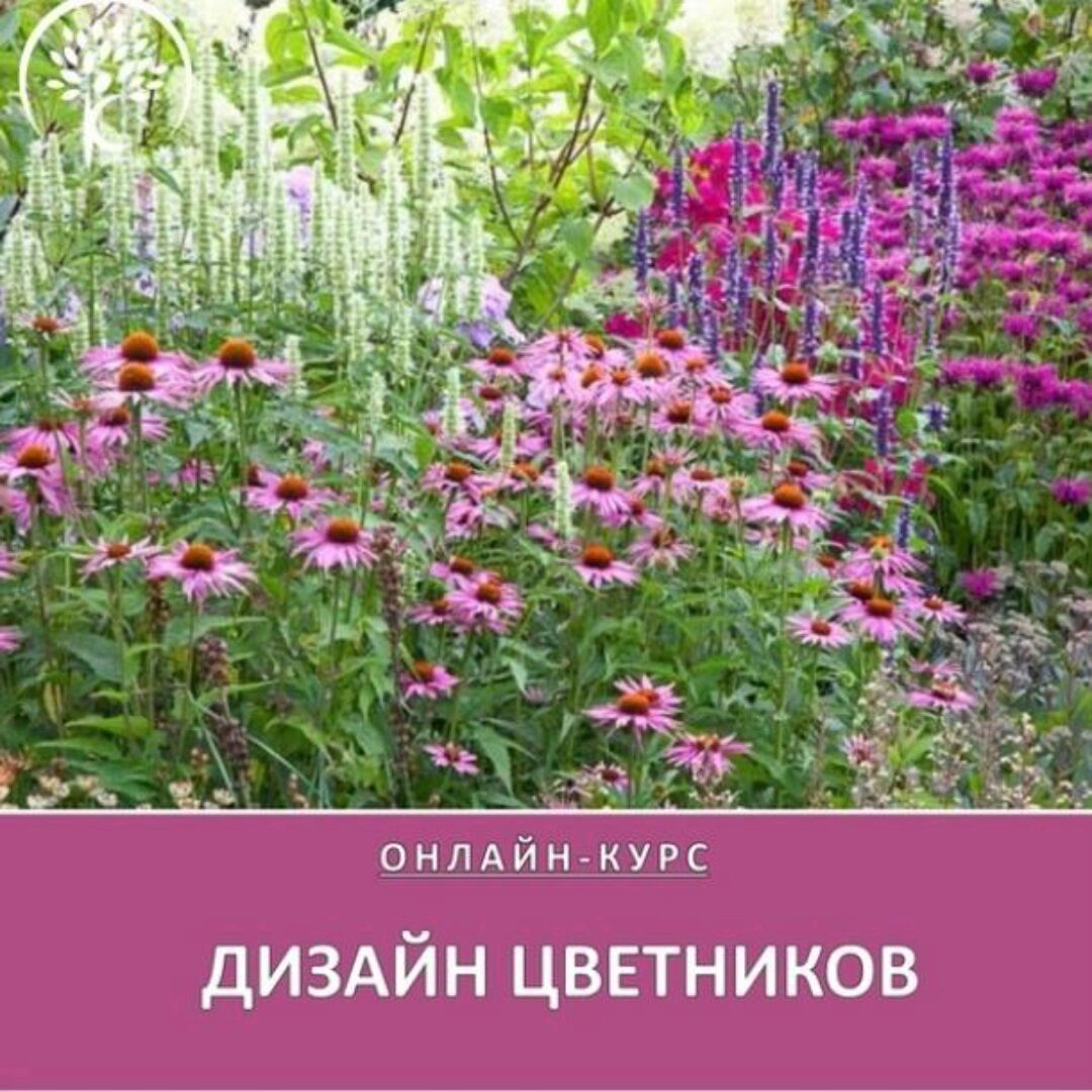 Дизайн цветников (Ольга Красулина)