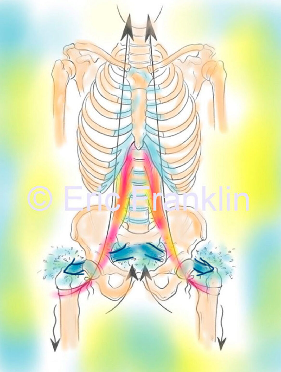 Поясничная мышца по методу Франклина [Центр Практика]