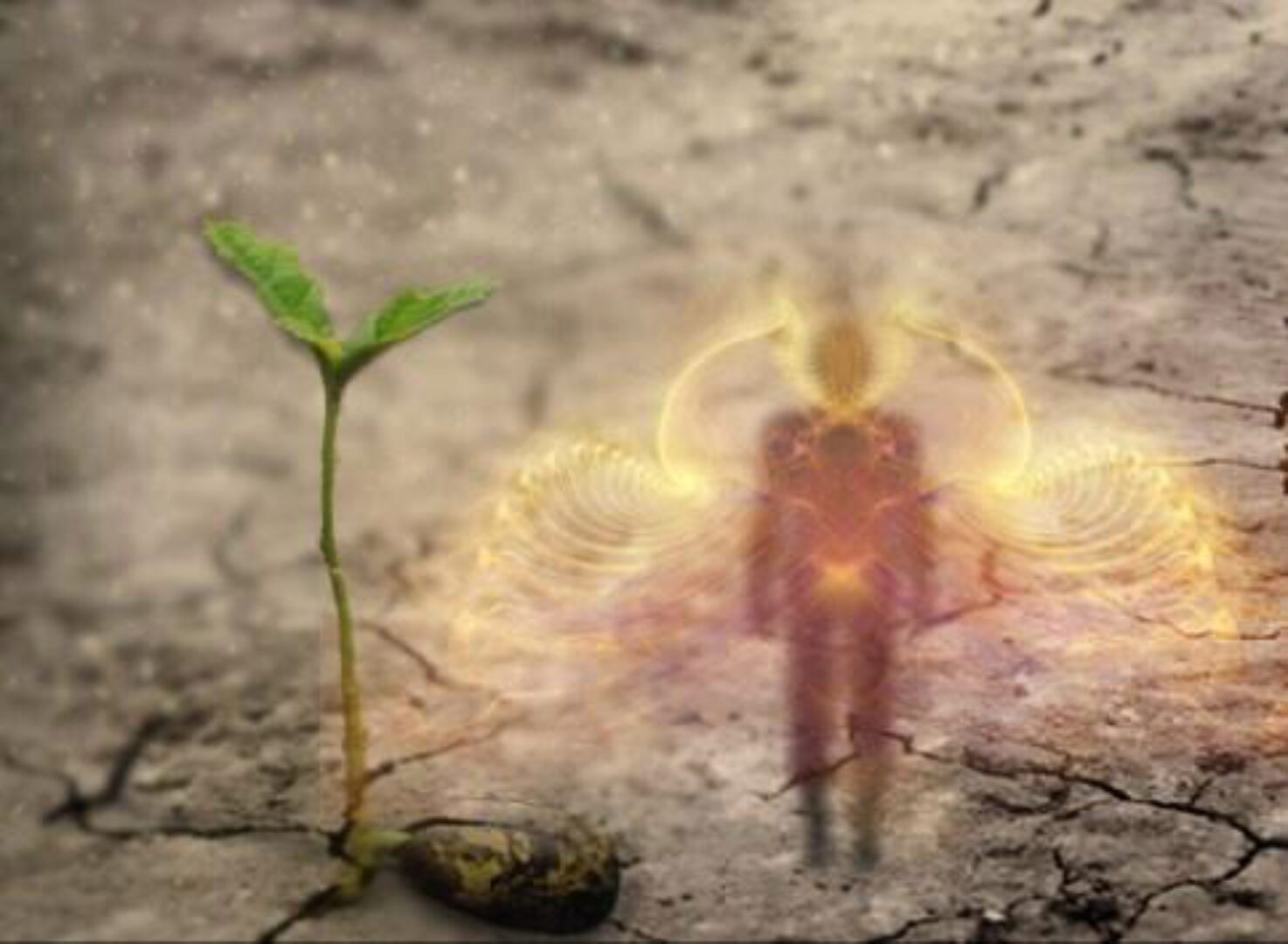 Повышение плотности эфирного тела. 1 курс (Ксения Меньшикова)