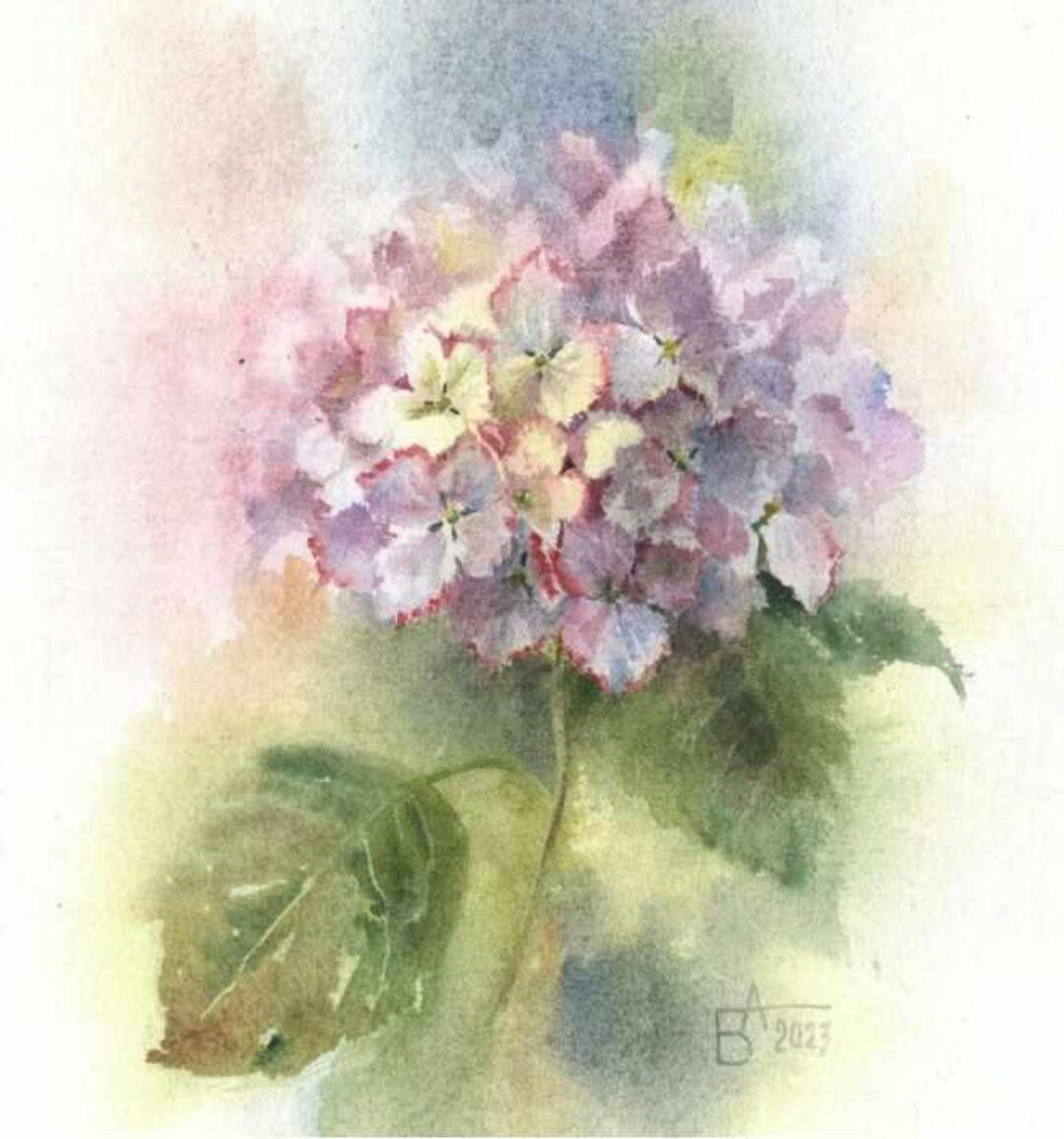 [enterclass] Гортензия (Анастасия Беседина)