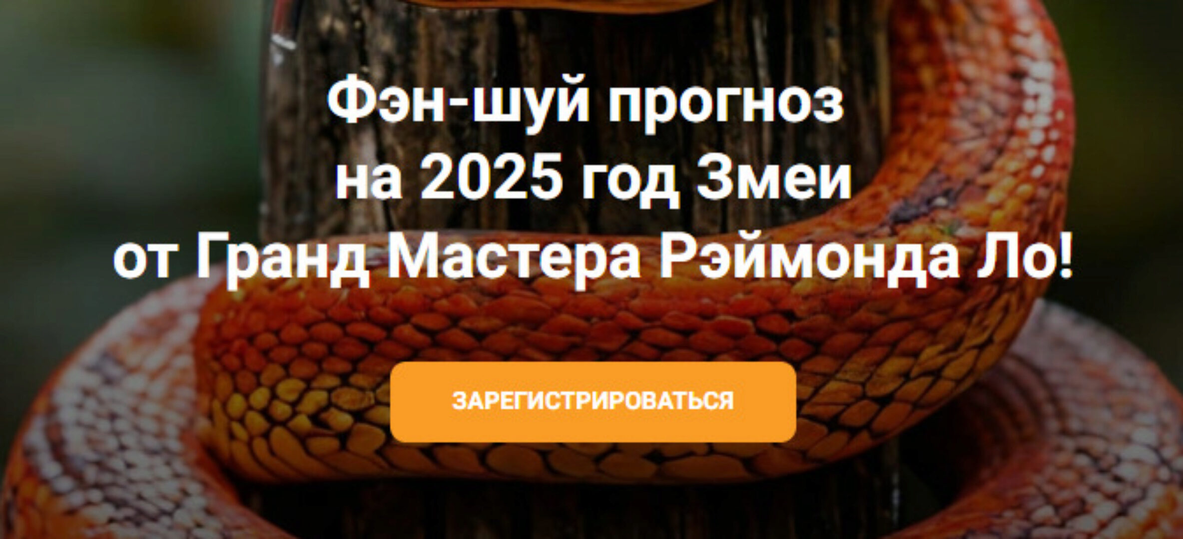 Фэн-шуй прогноз на 2025 год Змеи (Рэймонд Ло)