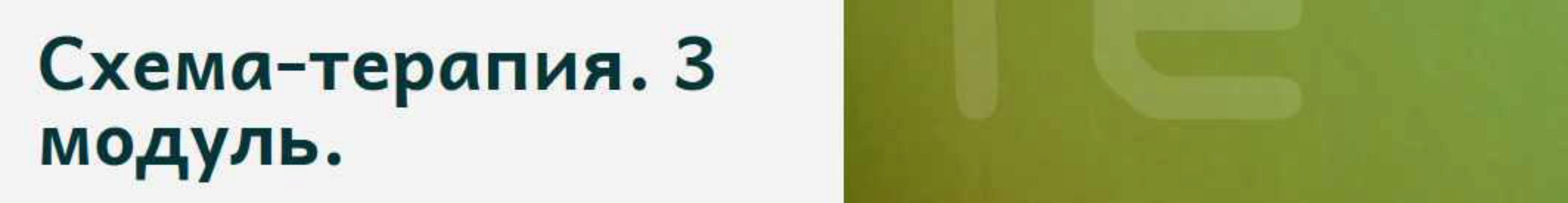 Сертификационная программа по схема-терапии (ISST). 1 модуль [Центр Когнитивной Терапии]