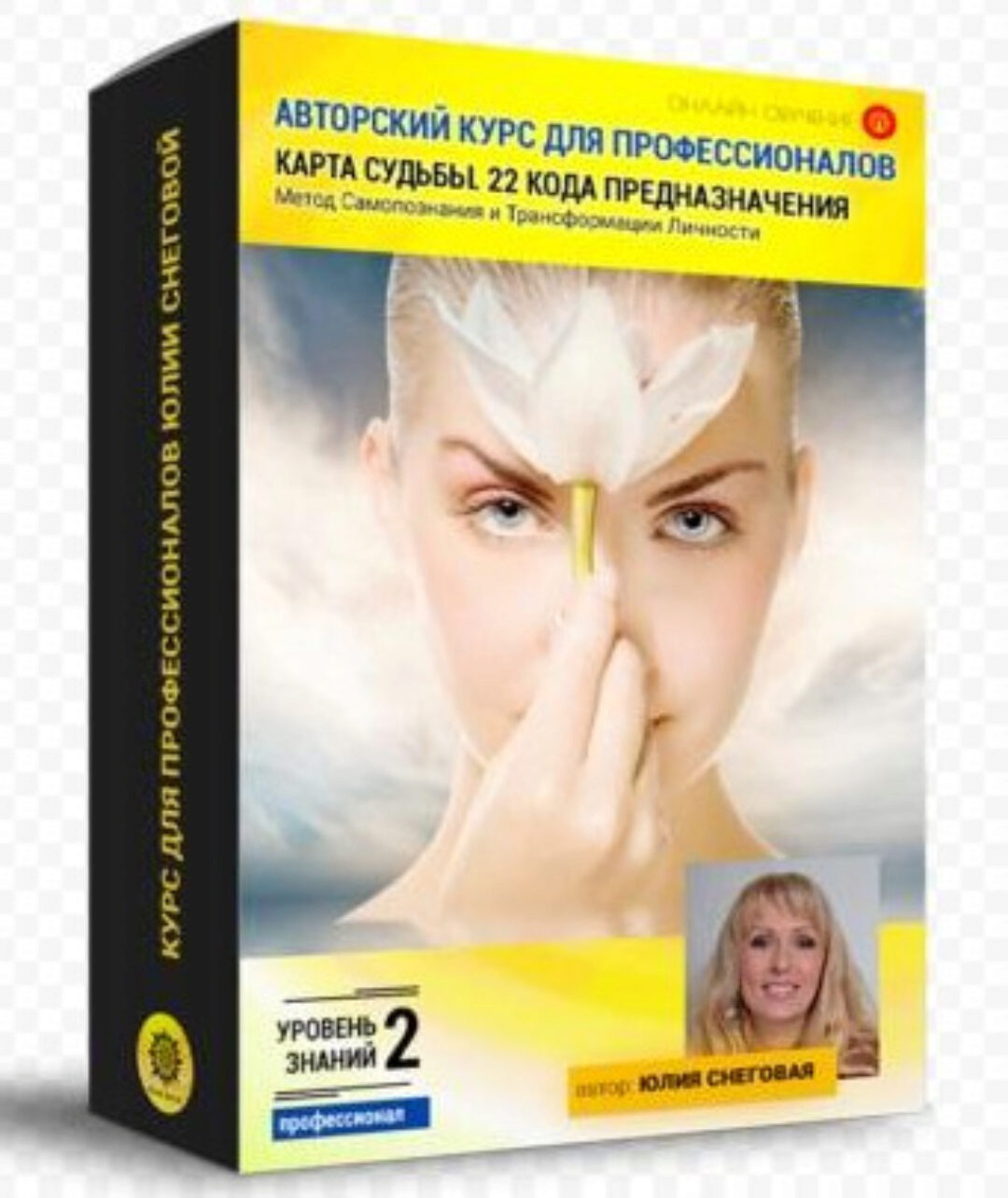 Авторский курс для профессионалов. 22 кода судьбы (Юлия Снеговая)