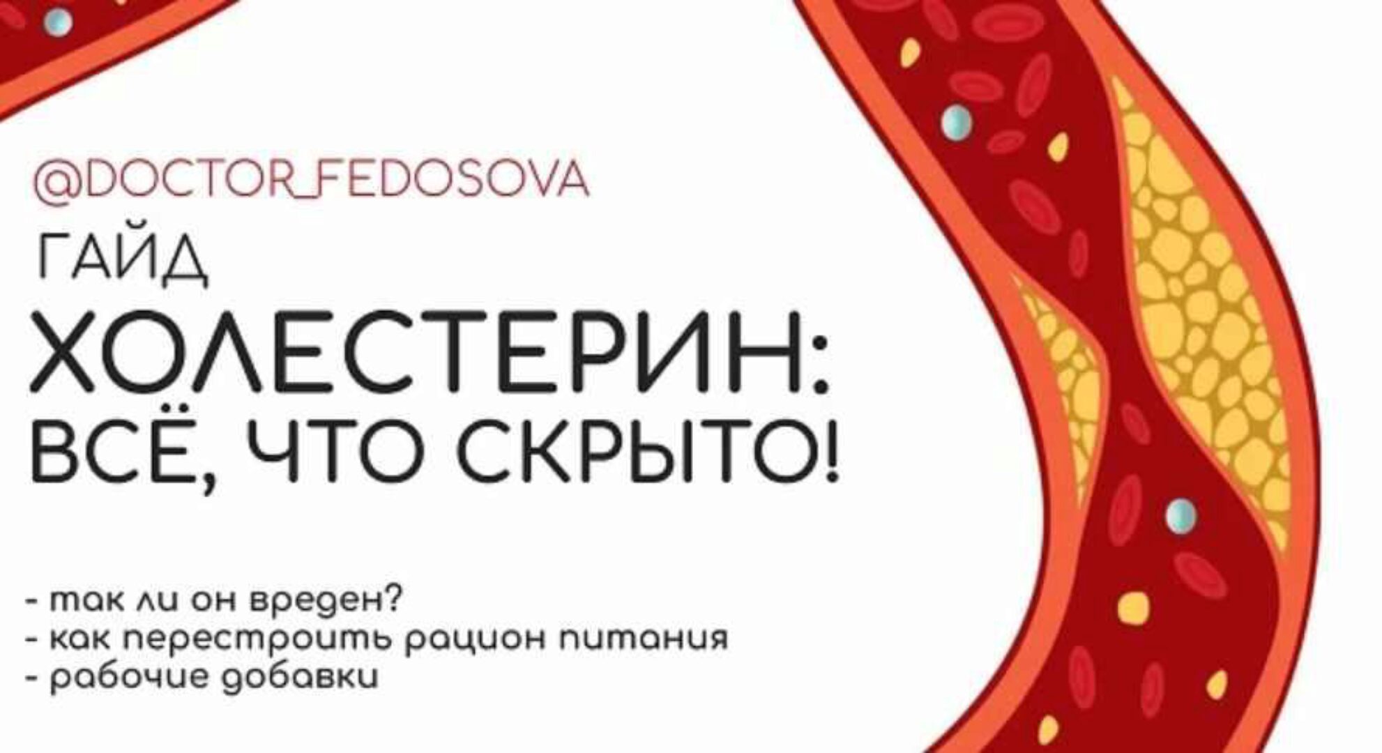 Гайд «Холестерин: всё, что скрыто!» (Лидия Федосова)