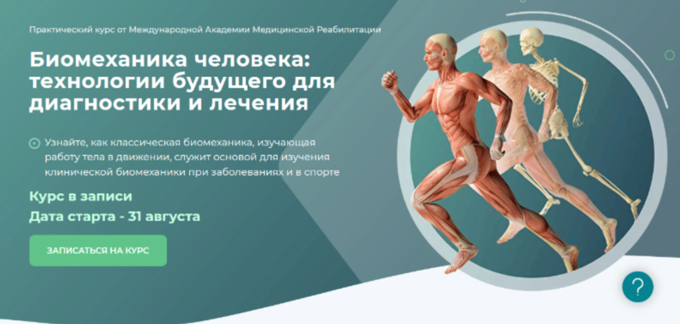 Биомеханика. Вебинар 2. Анатомия и биомеханика суставов верхней конечности (Алина Войцеховска)