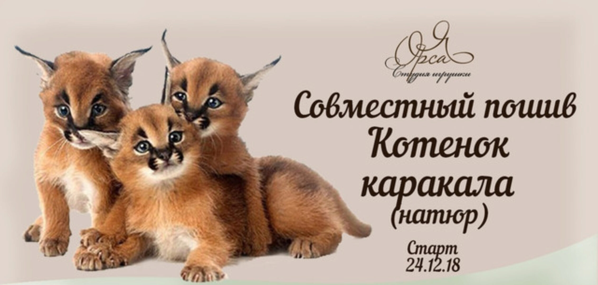 Совместный пошив «Котенок каракала» (Янина Орса)