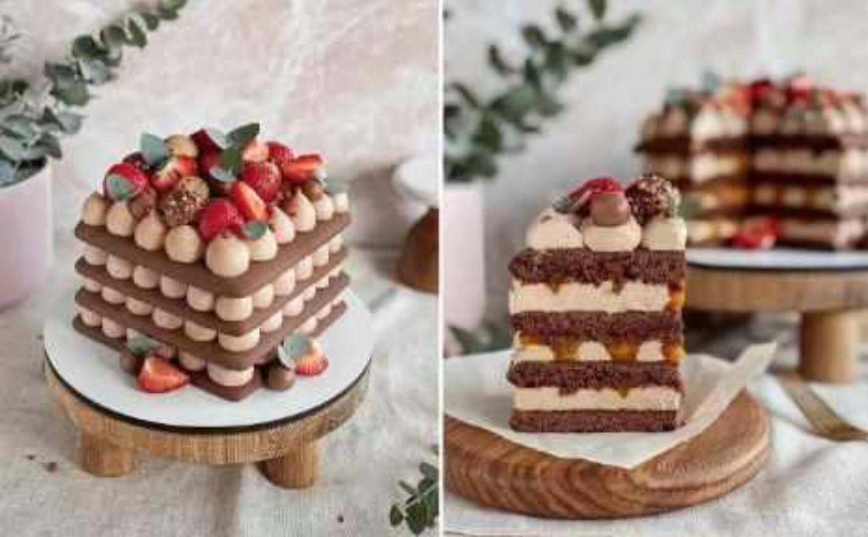 Отрытый шоколадный медовик (yanni.bakery)