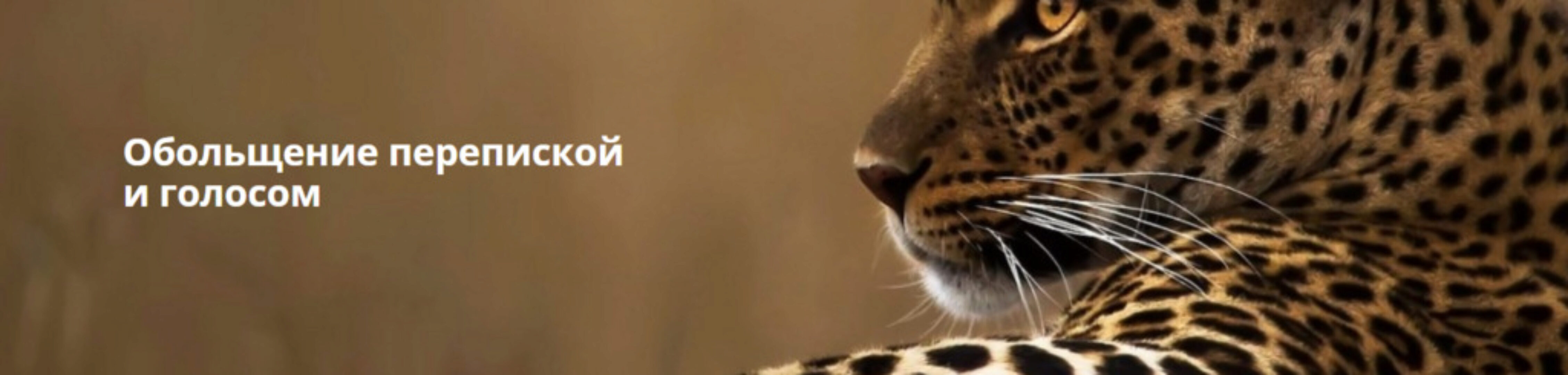 Обольщение перепиской и голосом (Екатерина Любимова)