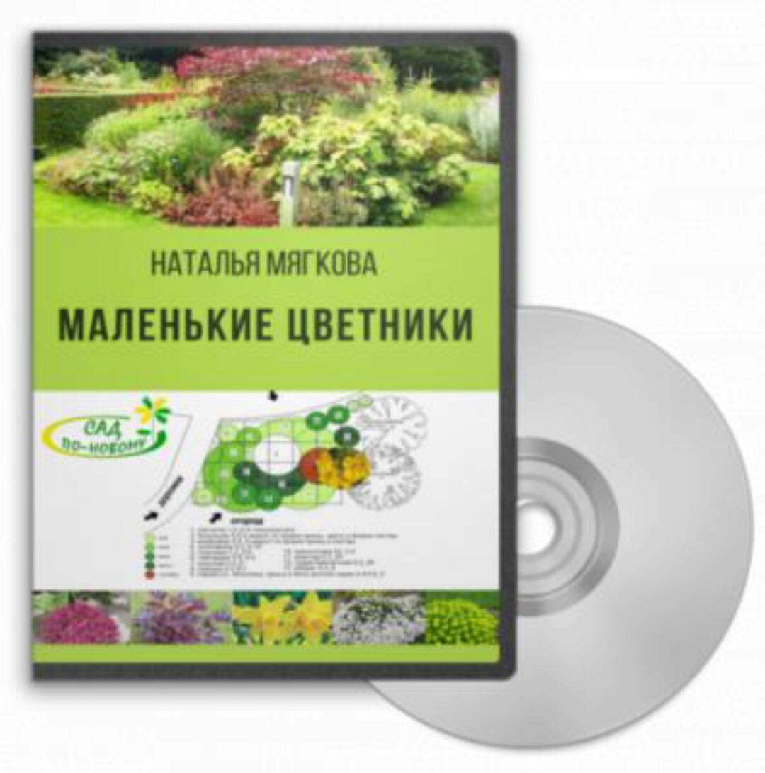 Маленькие цветники 2016 (Наталья Мягкова)