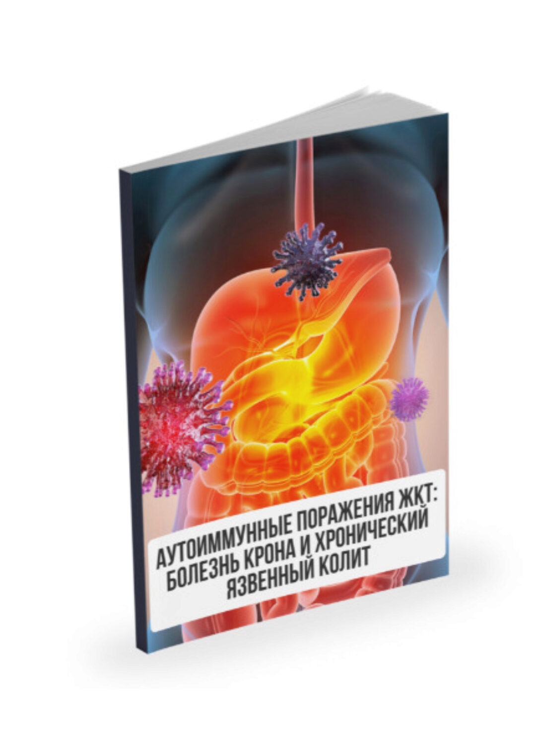 Лекция Аутоиммунные поражения ЖКТ: болезнь Крона и хронический язвенный колит (Александр Павлов)