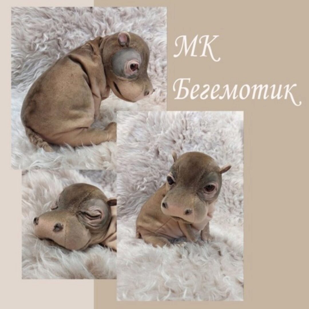 Бегемотик (Валентина Крижановская)