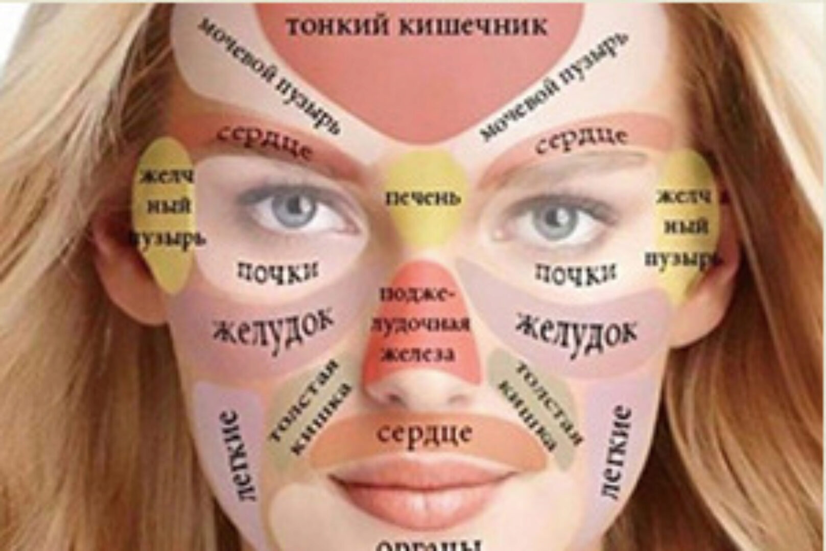 Традиционная китайская диагностика по лицу Мин Сянь (Лада Боровикова)