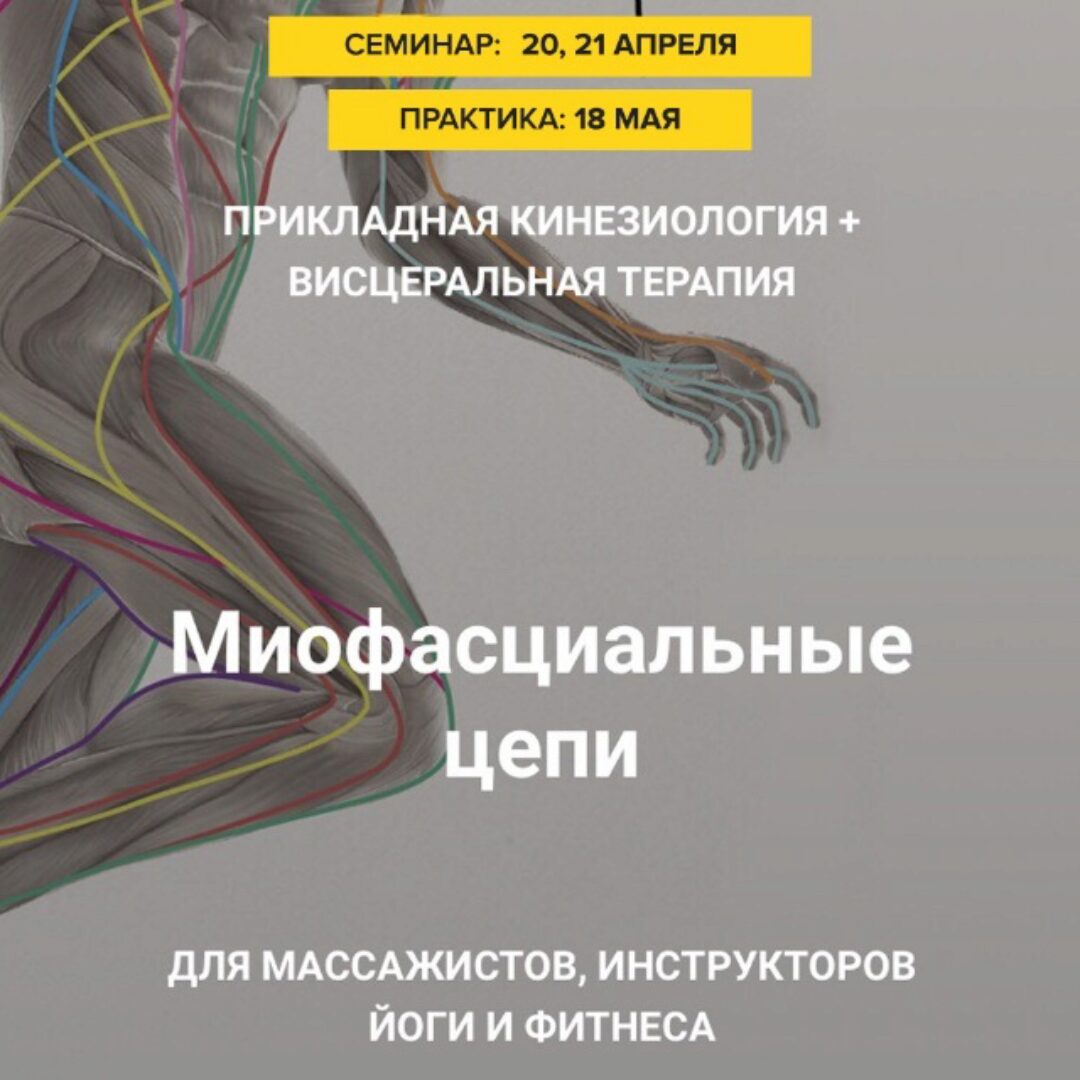 Миофасциальные цепи. Прикладная кинезиология + висцеральная терапия (Султан Фазлыахметов)