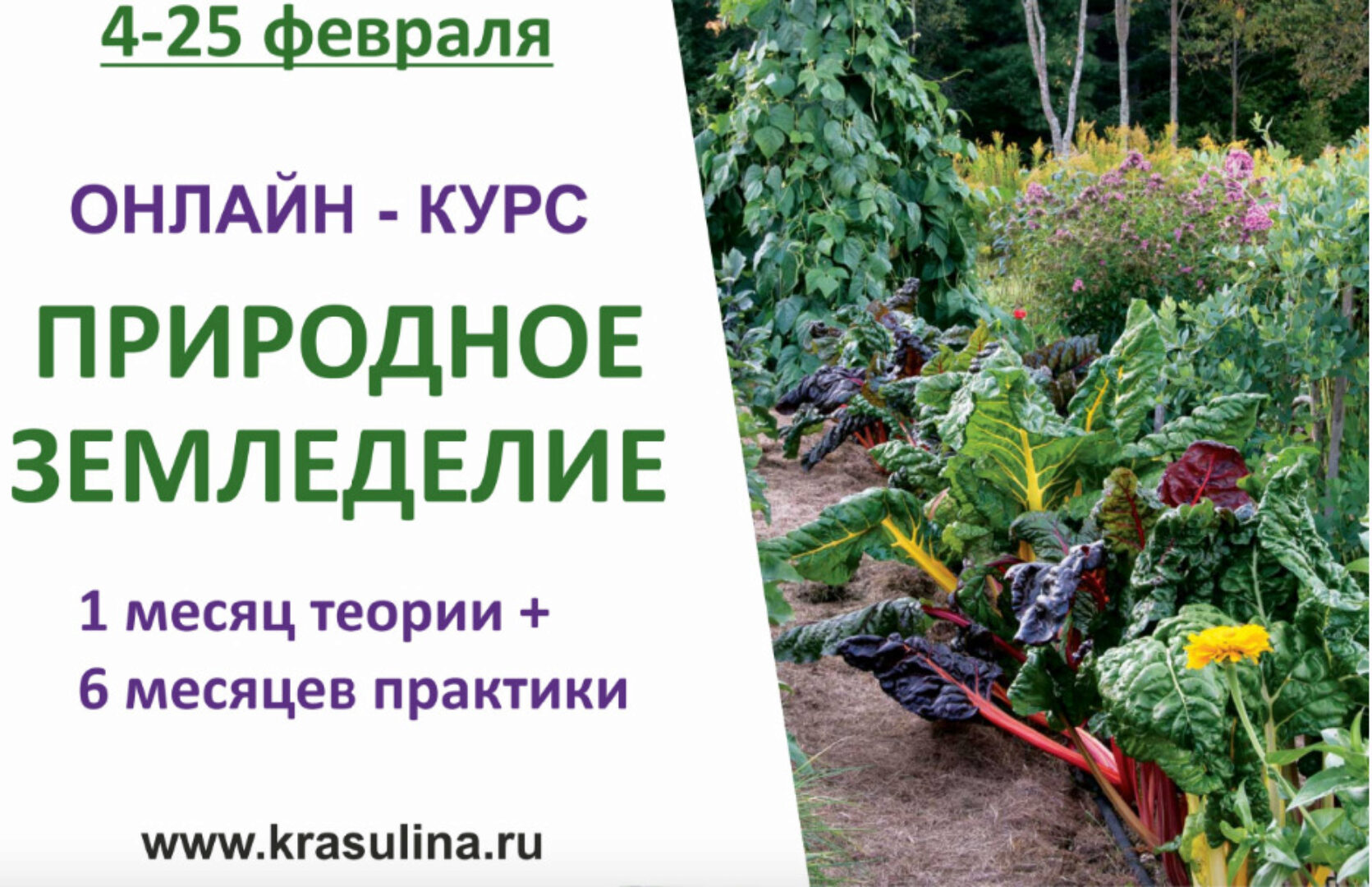 Природное земледелие (Ольга Красулина)