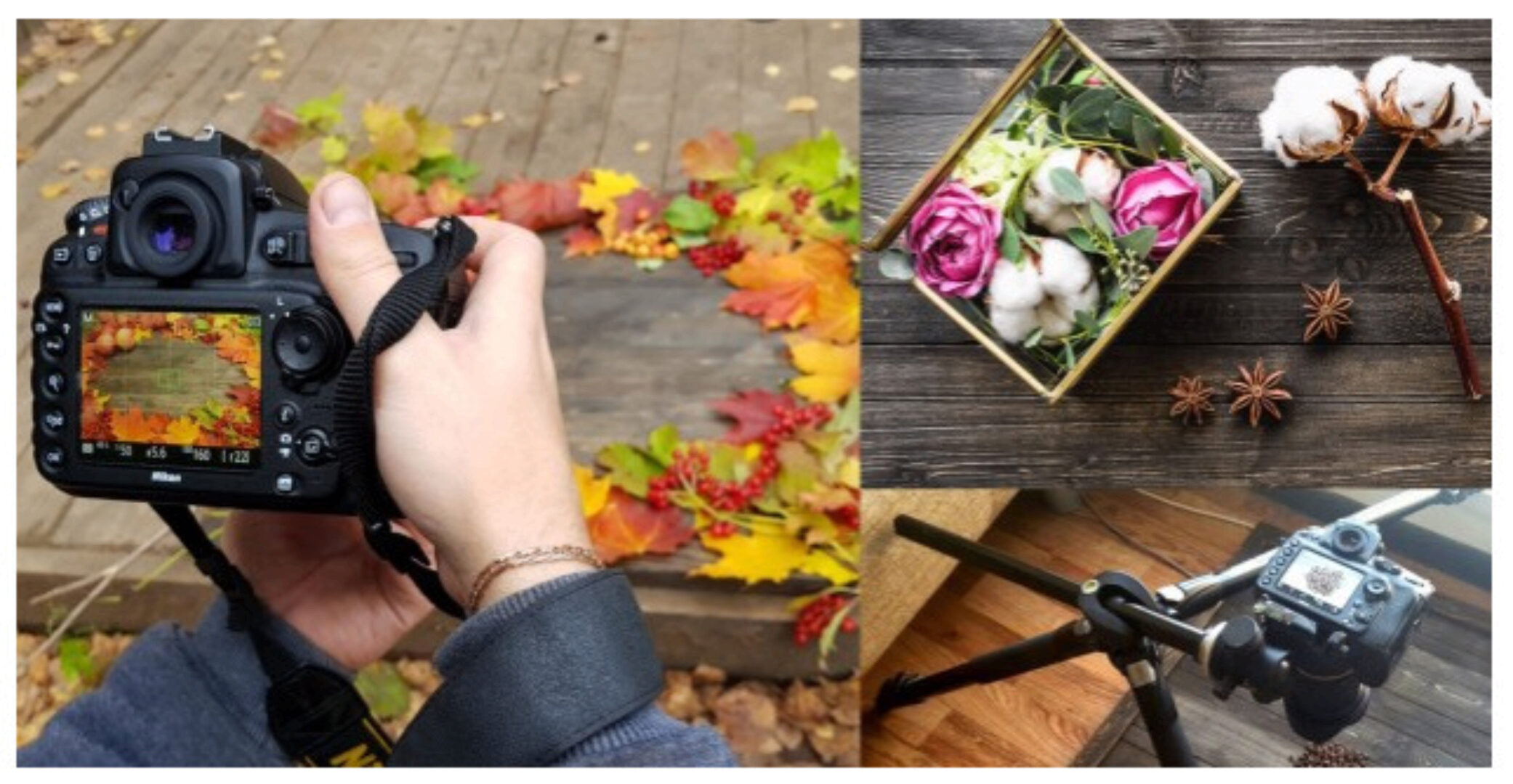 [Udemy] Предметная фотография на телефон (Виталий Пестов)