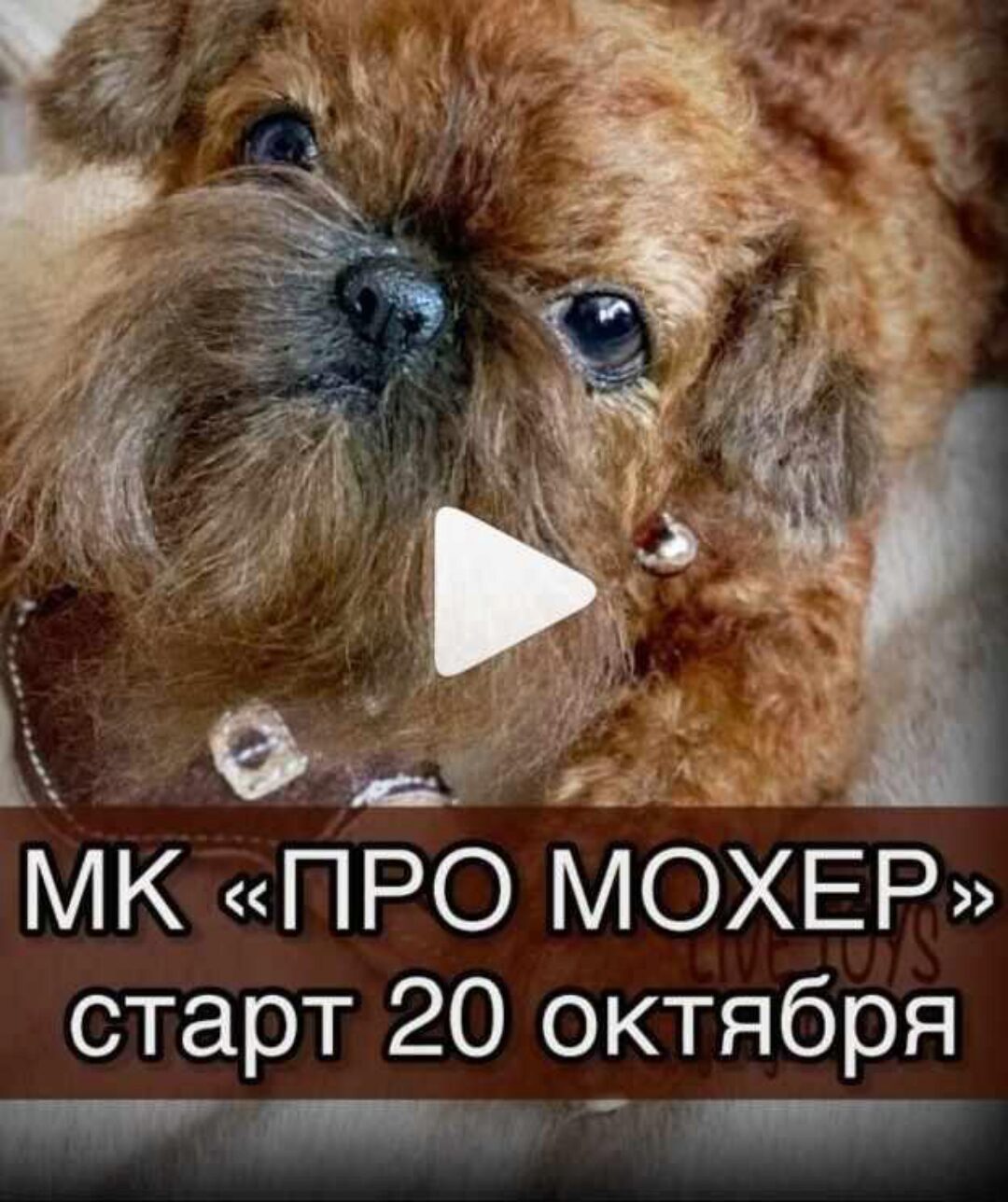Про мохер (Юлия Бурдакова)