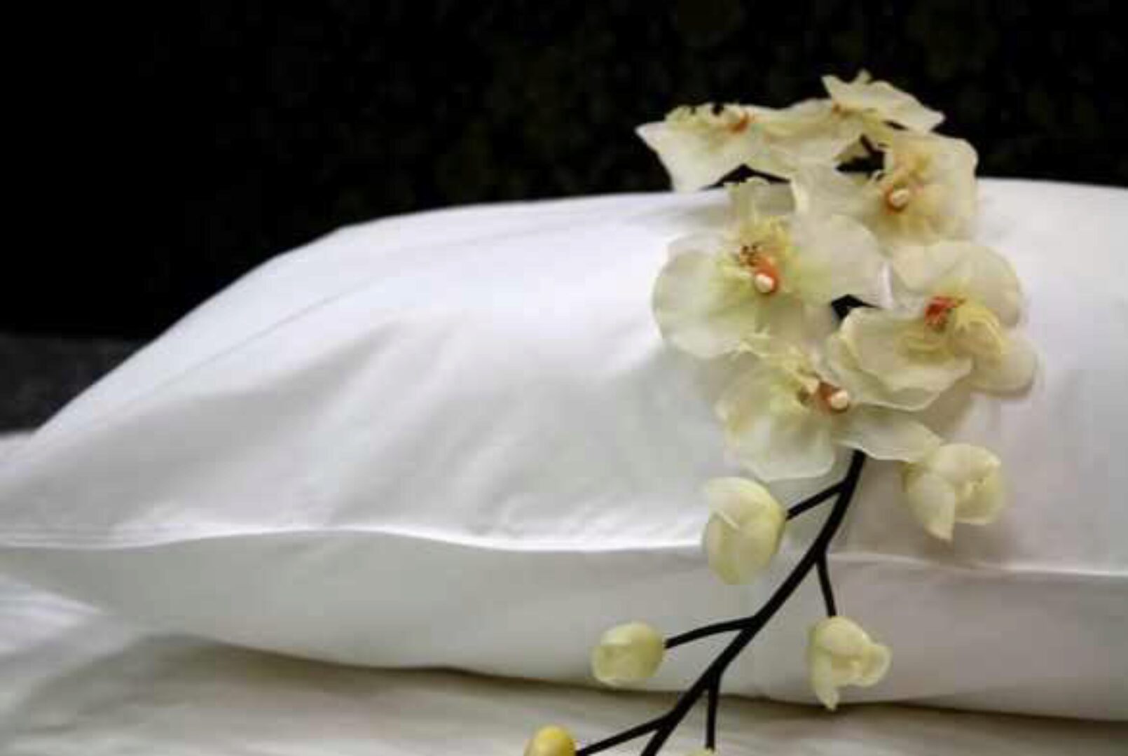 Очищение от предыдущих сексуальных контактов, 2016 (Рами Блект)