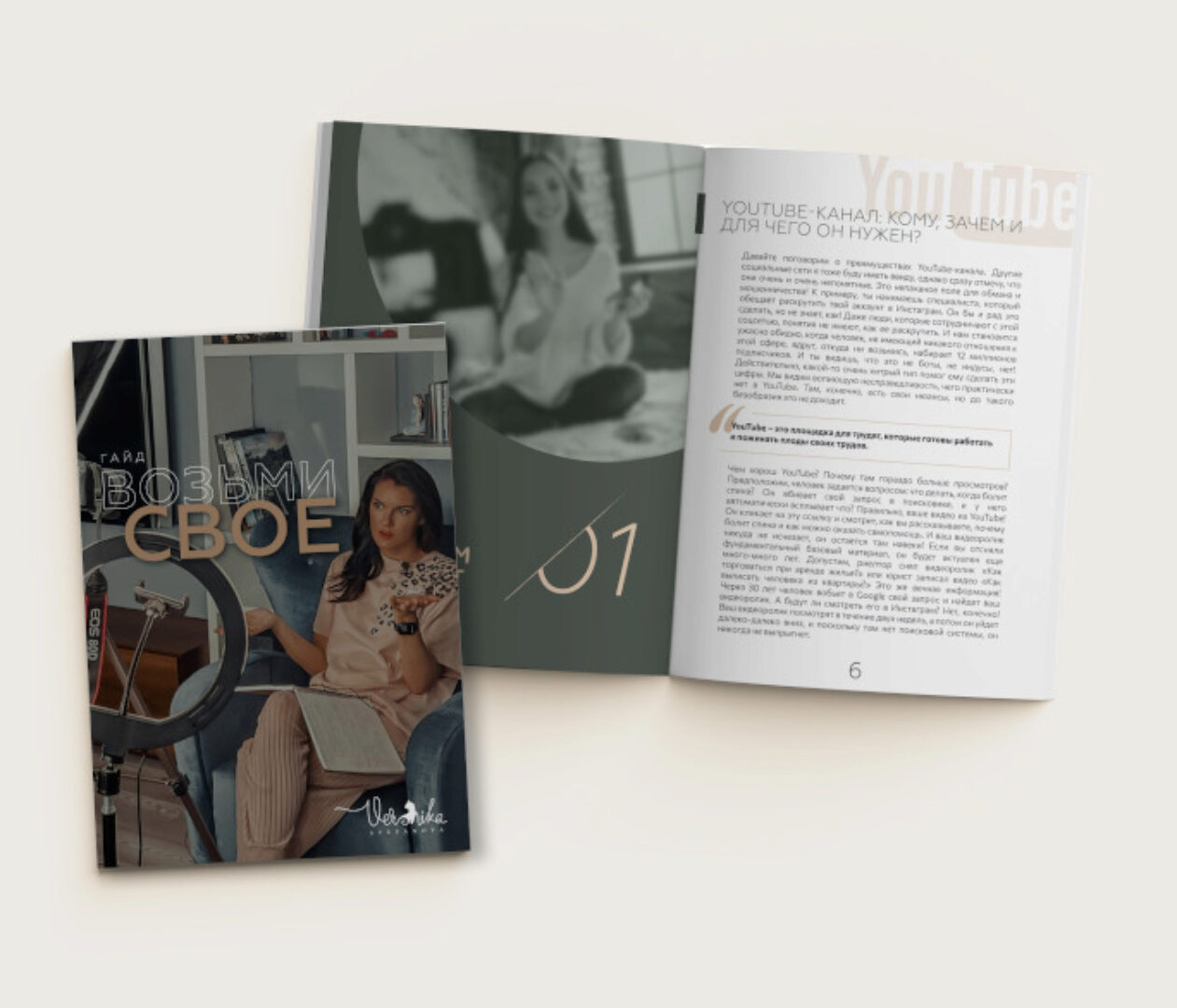 Гайд Возьми своё (Вероника Степанова)