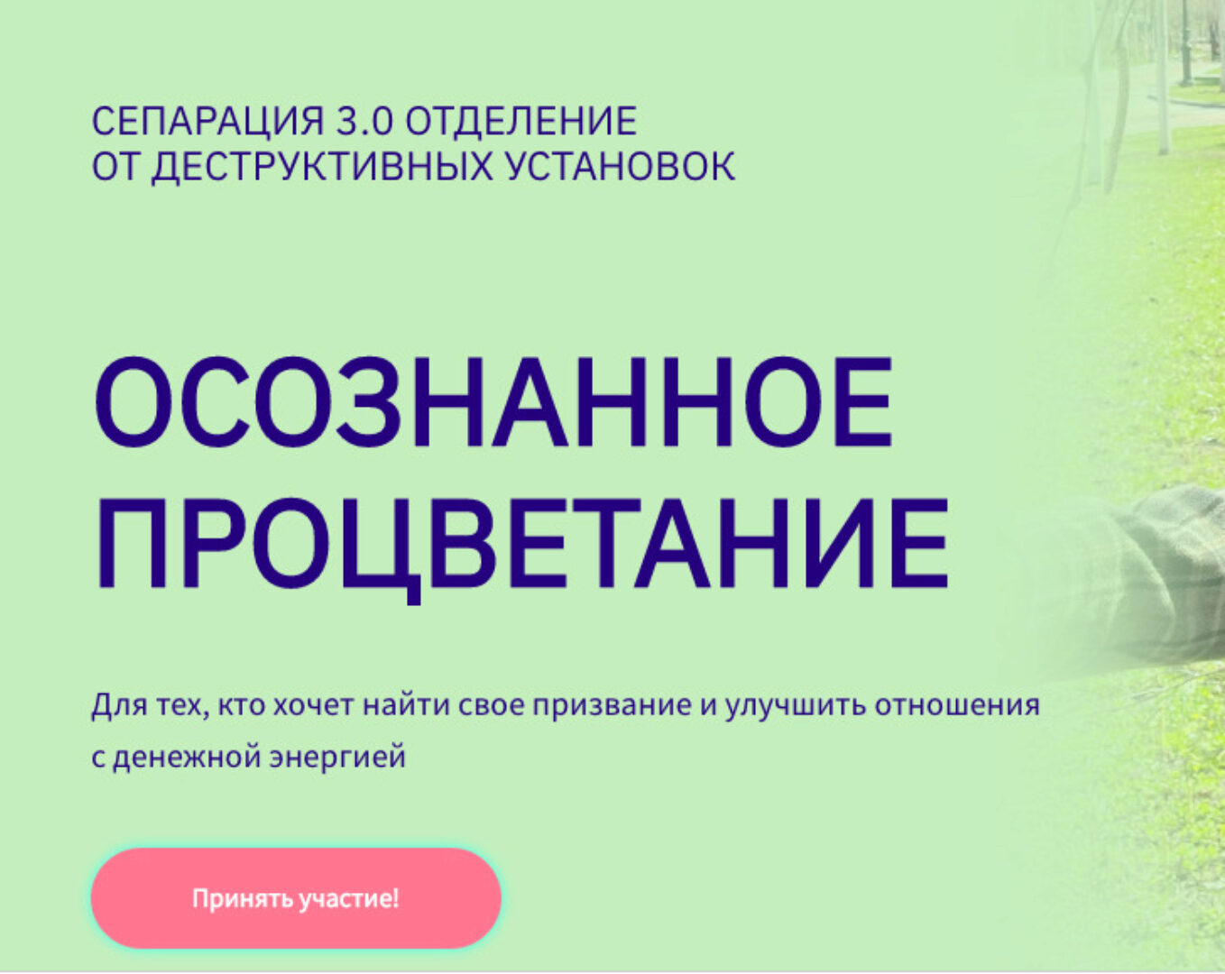 Осознанное процветание. Сепарация 3.0. Тариф Дзен (Вероника Хлебова)