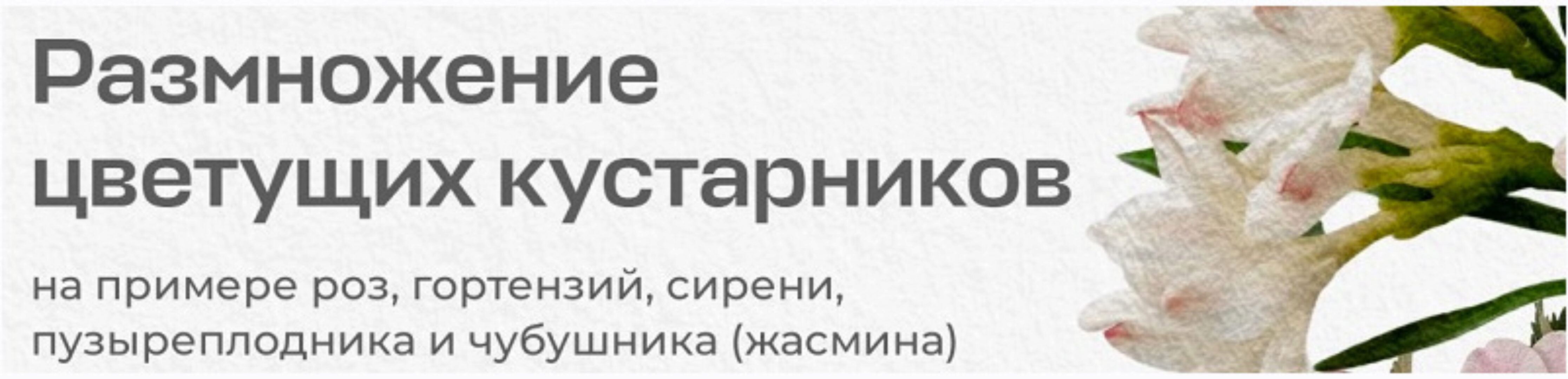 [Умный садовник] Размножение цветущих кустарников (Владимир Задоркин)