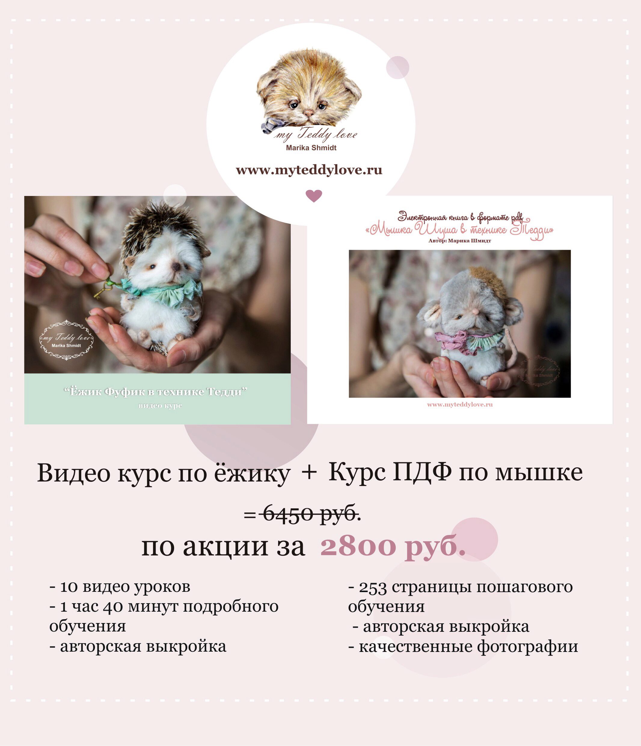 Видео курс по ёжику и электронная книга по мышке (Марика Шмидт)