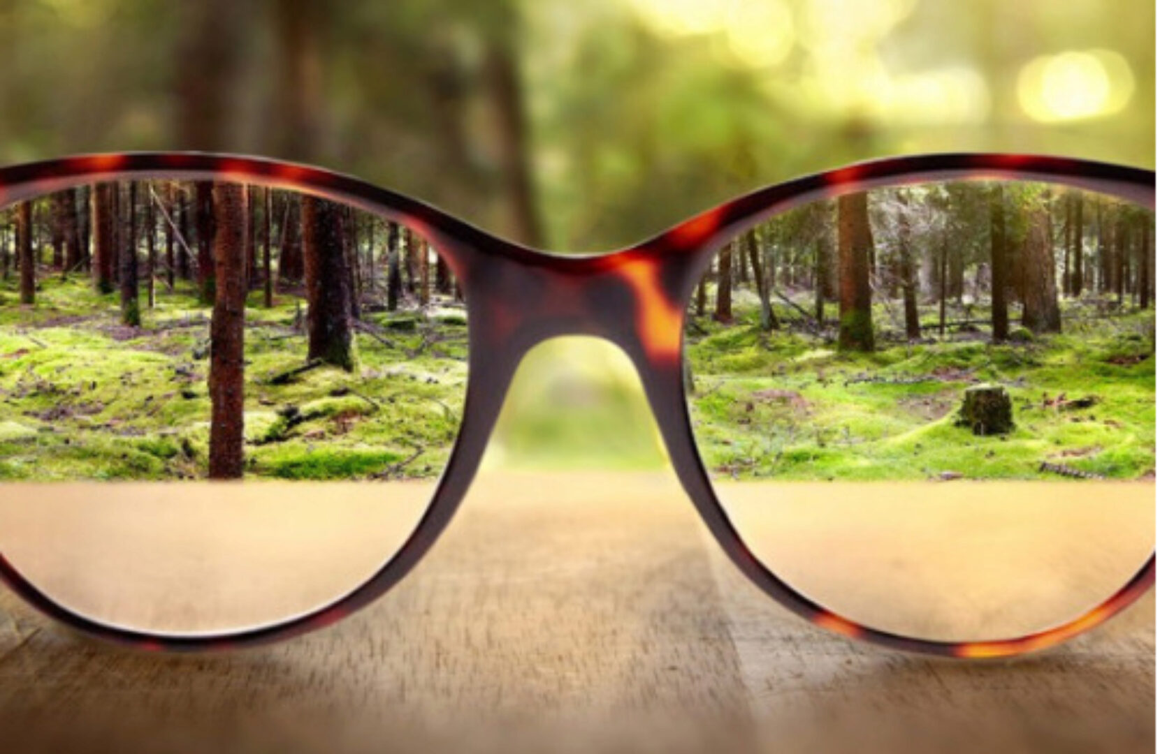 [Путь к здоровью] Проблемы зрения в детском и зрелом возрасте (Владимир Дадали)