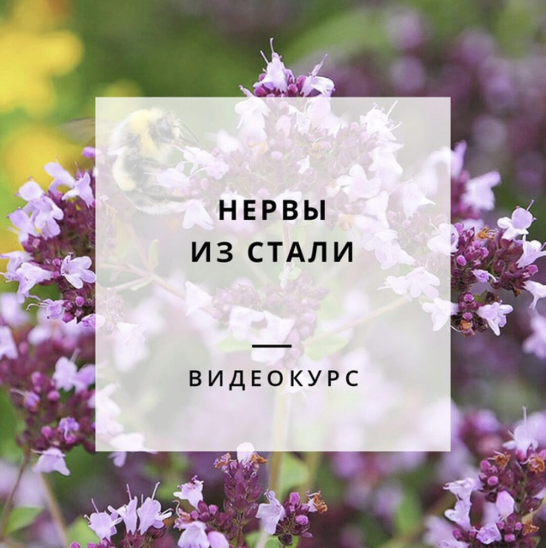 [Обитель] Нервы из стали (Яна Горбовская)